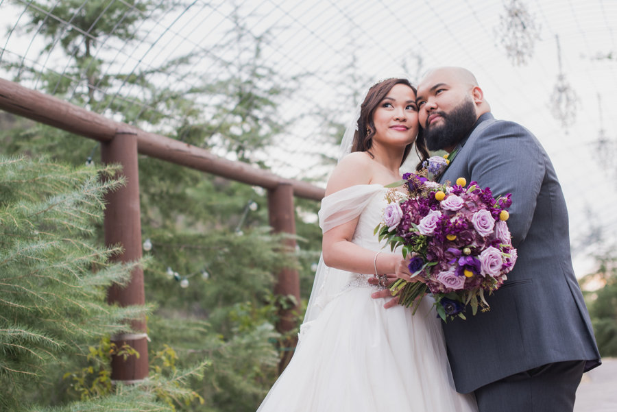 wedding photo and video packages houston texas