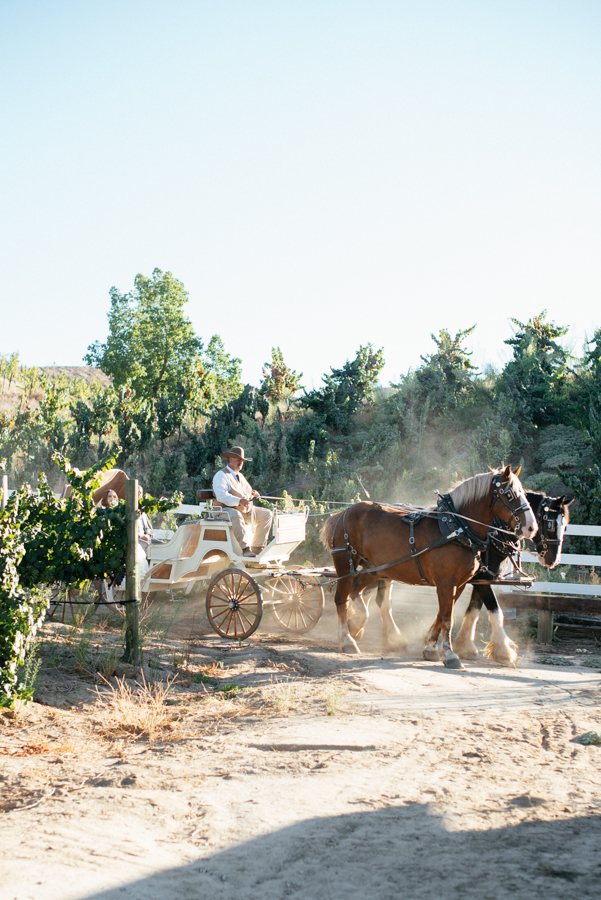 Houston Best Light and Airy Wedding Photographer Texas serving Austin and San Antonio