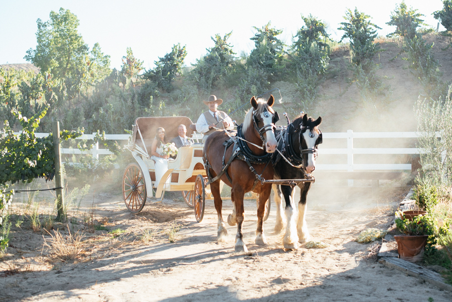 Houston Best Light and Airy Wedding Photographer Texas serving Austin and San Antonio